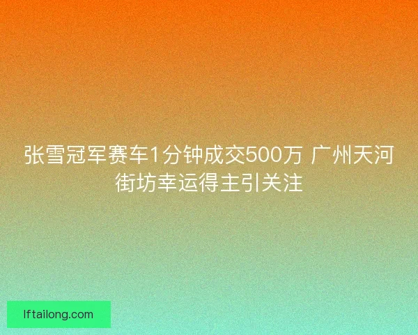 张雪冠军赛车1分钟成交500万 广州天河街坊幸运得主引关注